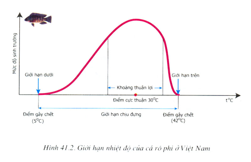 Gi I H N Nhi T C A C R Phi Vn Sinh H C Tr Ng Ho Ng Anh